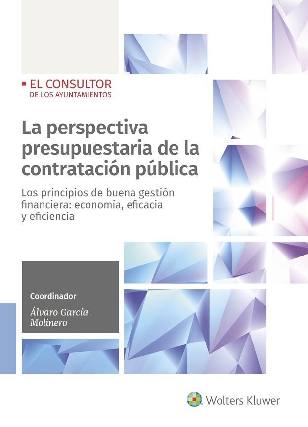 LA PERSPECTIVA PRESUPUESTARIA DE LA CONTRATACIÓN PÚBLICA. LOS PRINCIPIOS DE BUENA GESTIÓN FINANCIERA: ECONOMÍA, EFICACIA Y EFICIENCIA | 9788470528354 | GARCÍA MOLINERO, ÁLVARO