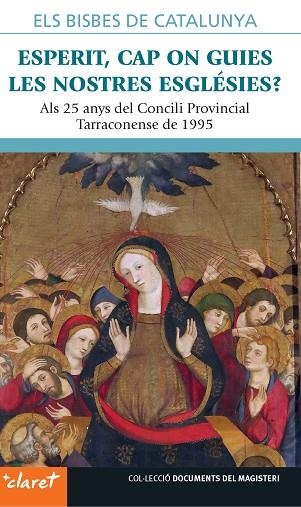 ESPERIT, CAP ON GUIES LES NOSTRES ESGLÉSIES?. ALS 25 ANYS DEL CONCILI PROVINCIAL TARRACONENSE DE 1995 | 9788491363439 | VARIOS AUTORES