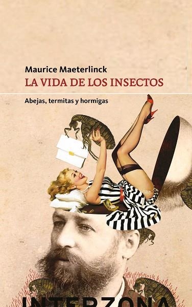 LA VIDA DE LOS INSECTOS  ABEJAS, TERMITAS Y HORMIGAS | 9789877900187 | MAETERLINCK MAURICE