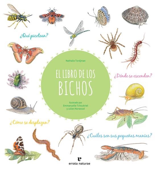 EL LIBRO DE LOS BICHOS | 9788417800413 | NORWOOD JULIEN / TCHOUKRIEL EMMANUELLE / TORDJMAN NATHALIE