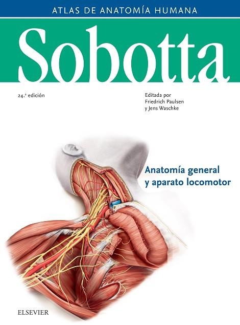 SOBOTTA. ATLAS DE ANATOMÍA HUMANA VOL 1 (24ª ED.) | 9788491133667 | PAULSEN, FRIEDRICH