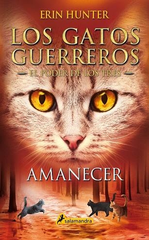 AMANECER. LOS GATOS GUERREROS EL PODER DE LOS TRES 6 | 9788418174056 | HUNTER, ERIN