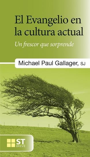 EL EVANGELIO  EN LA CULTURA ACTUAL. UN FRECOR QUE SORPRENDE | 9788429321517 | GALLAGHER, MICHAEL PAUL