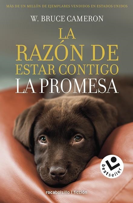 LA RAZÓN DE ESTAR CONTIGO. LA PROMESA | 9788417821432 | CAMERON, W. BRUCE