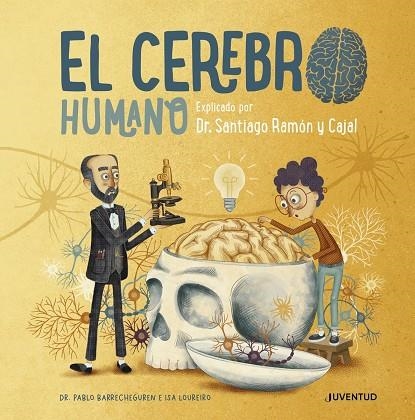 EL CEREBRO HUMANO EXPLICADO POR DR. SANTIAGO RAMÓN Y CAJAL | 9788426147110 | BARRECHEGUREN, PABLO