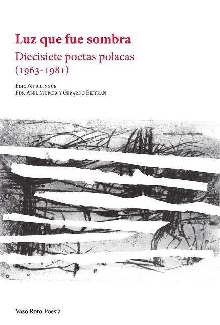 LUZ QUE FUE SOMBRA. DIECISIETE POETAS POLACAS (1963-1981) (BILINGUE) | 9788412348767 | VV.AA.