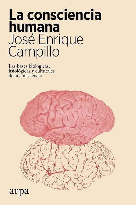 LA CONSCIENCIA HUMANA. LAS BASES BIOLÓGICAS, FISIOLÓGICAS Y CULTURALES DE LA CONSCIENCIA | 9788417623722 | CAMPILLO, JOSÉ ENRIQUE