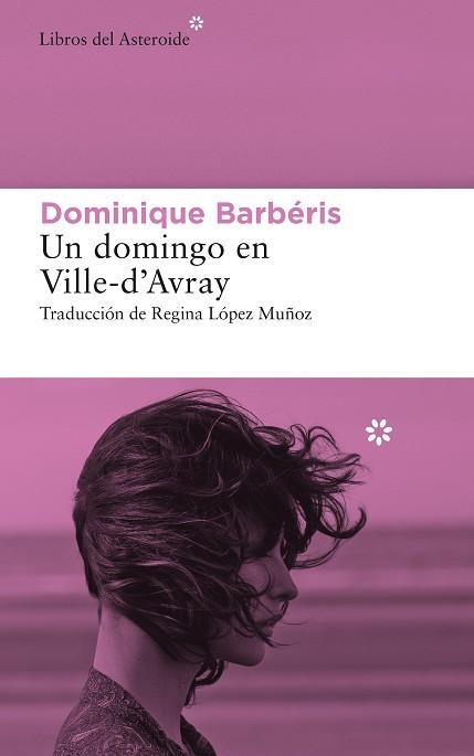 UN DOMINGO EN VILLE-D’AVRAY | 9788417977634 | BARBÉRIS, DOMINIQUE