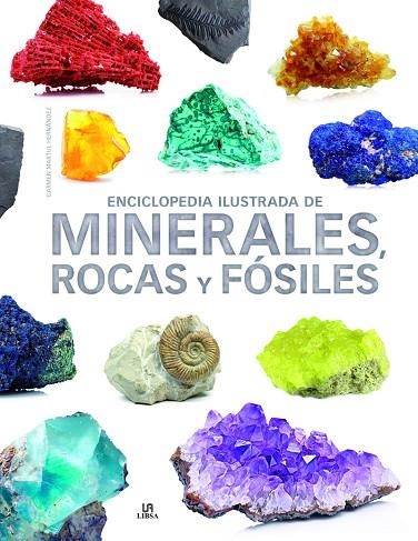 ENCICLOPEDIA ILUSTRADA DE MINERALES, ROCAS Y FÓSILES | 9788466238991 | MARTUL HERNÁNDEZ, CARMEN