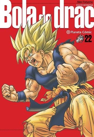 BOLA DE DRAC SERIE VERMELLA  Nº 22/34 | 9788413419046 | TORIYAMA, AKIRA