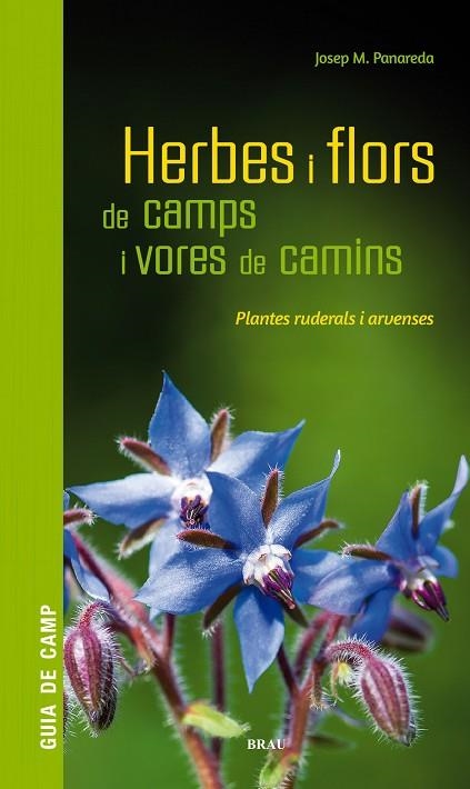 HERBES I FLORS DE CAMPS I VORES DE CAMINS. PLANTES RUDERALS I ARVENSES. GUIA DE CAMP | 9788418096082 | PANAREDA CLOPÉS, JOSEP M