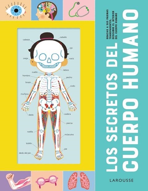 LOS SECRETOS DEL CUERPO HUMANO | 9788418473210