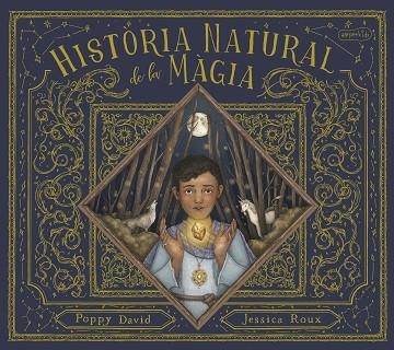 HISTÒRIA NATURAL DE LA MÀGIA | 9788418279874 | DAVID, POPPY