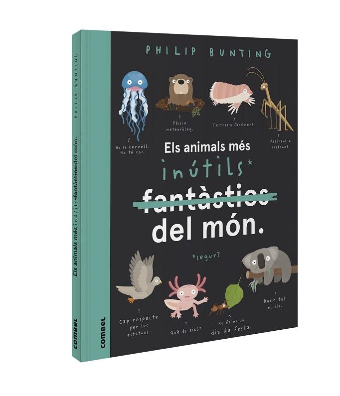 ELS ANIMALS MÉS INÚTILS(FANTASTICS) DEL MÓN | 9788491018094 | BUNTING, PHILIP