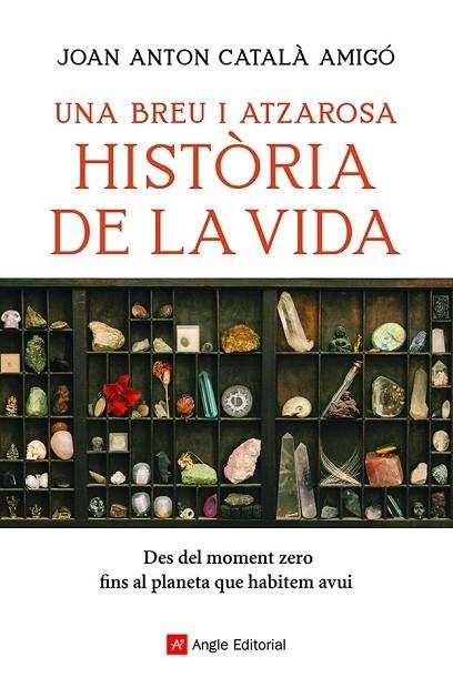 UNA BREU I ATZAROSA HISTÒRIA DE LA VIDA DES DEL MOMENT ZERO FINS AL PLANETA QUE HABITEM AVUI | 9788418197956 | CATALÀ AMIGÓ, JOAN ANTON