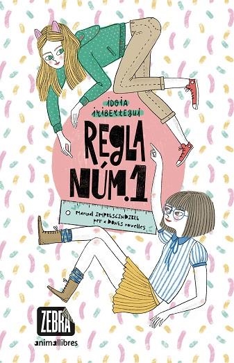 REGLA NÚM. 1 MANUAL IMPRESCINDIBLE PER A DONES NOVELLES | 9788418592430 | IRIBERTEGUI, IDOIA