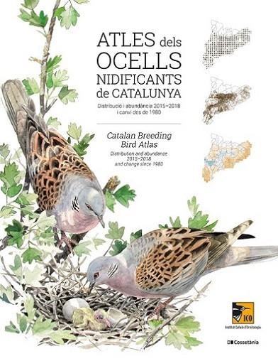 ATLES DELS OCELLS NIDIFICANTS DE CATALUNYA. DISTRIBUCIÓ I ABUNDÀNCIA 2015-2018 I CANVI DES DE 1980 | 9788413560939 | AUTORS, DIVERSOS