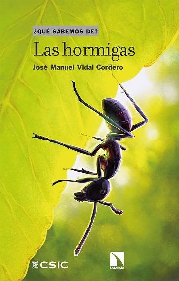 LAS HORMIGAS | 9788413522753 | VIDAL CORDERO, JOSÉ MANUEL