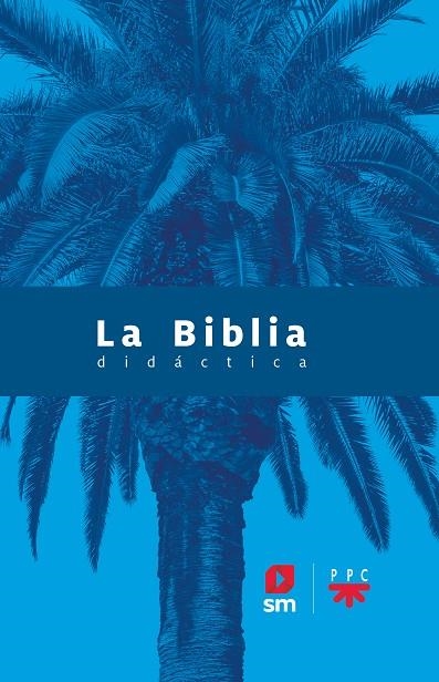 LA BIBLIA DIDÁCTICA - 2020 | 9788413183039 | VARIOS AUTORES