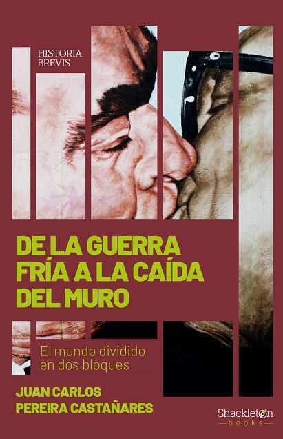 DE LA GUERRA FRÍA A LA CAÍDA DEL MURO. EL MUNDO DIVIDIDO EN DOS BLOQUES | 9788413611280 | PEREIRA CASTAÑARES, JUAN CARLOS