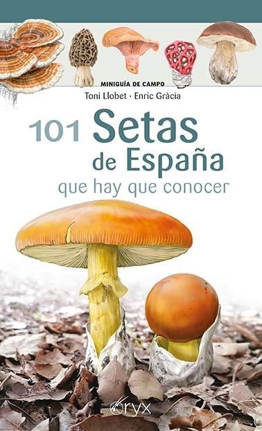 101 SETAS DE ESPAÑA QUE HAY QUE CONOCER | 9788418735080 | LLOBET FRANÇOIS, TONI/GRÀCIA I BARBA, ENRIC