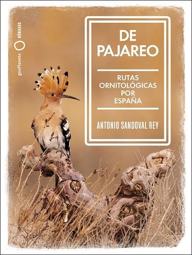 DE PAJAREO. RUTAS ORNITOLÓGICAS POR ESPAÑA | 9788408251514 | SANDOVAL, ANTONIO