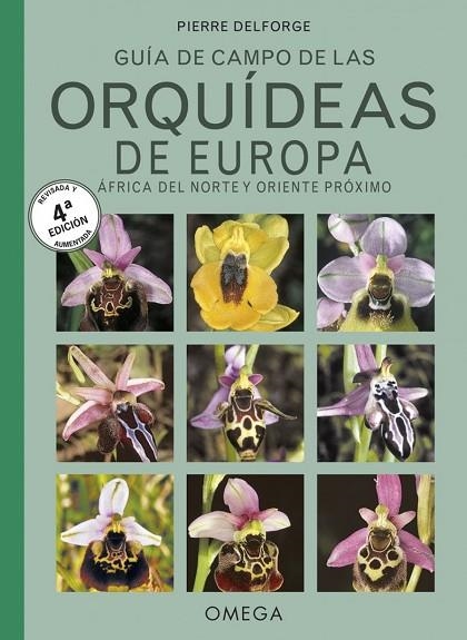 ORQUIDEAS DE EUROPA, NORTE DE AFRICA Y PROXIMO ORIENTE | 9788428216791 | DELFORGE, PIERRE