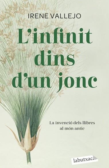 L'INFINIT DINS D'UN JONC. LA INVENCIÓ DELS LLIBRES AL MÓN ANTIC | 9788419107121 | VALLEJO, IRENE