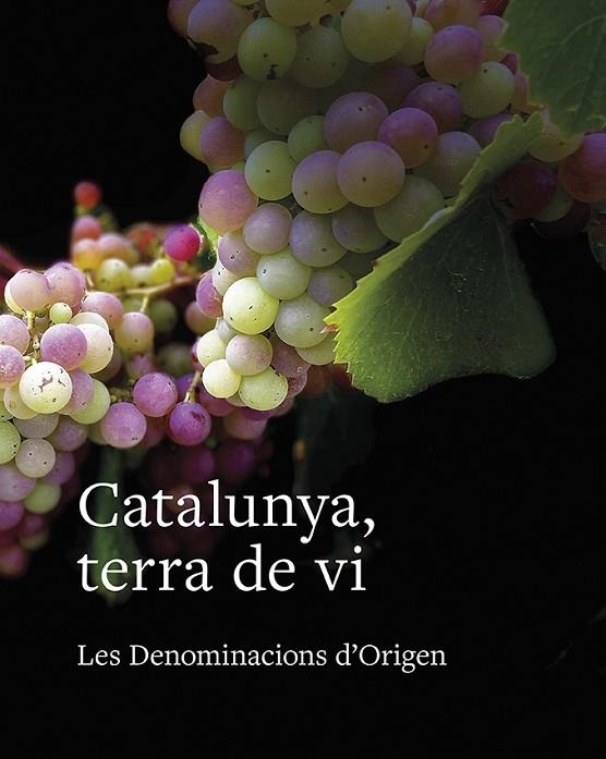 CATALUNYA, TERRA DE VI. LES DENOMINACIONS D'ORIGEN | 9788416445615 | TOLOSA PLANET, LLUÍS/SUCARRATS MIRÓ, JOSEP/FRANCÀS MARTORELL, RAMON/SANS I TRAVÉ, JOSEP MARIA/GIMENA