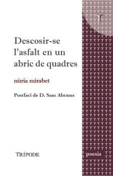 DESCOSIR-SE L'ASFALT EN UN ABRIC DE QUADRES | 9788412586503 | MIRABET, NÚRIA