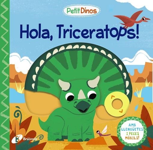 HOLA, TRICERATOPS! | 9788413491097 | VARIOS AUTORES