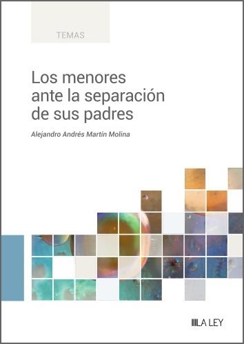 LOS MENORES ANTE LA SEPARACIÓN DE SUS PADRES | 9788419446152 | MARTÍN MOLINA, ALEJANDRO ANDRÉS