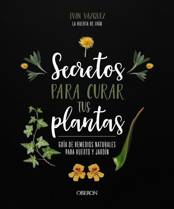 SECRETOS PARA CURAR TUS PLANTAS. GUÍA DE REMEDIOS NATURALES PARA HUERTO Y JARDÍN | 9788441547162 | VÁZQUEZ MUÑOZ, IVÁN