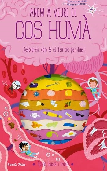 ANEM A VEURE EL COS HUMÀ DESCOBREIX COM ÉS EL TEU COS PER DINS! | 9788413893181 | KNAPMAN, TIMOTHY / ROBINS, WESLEY