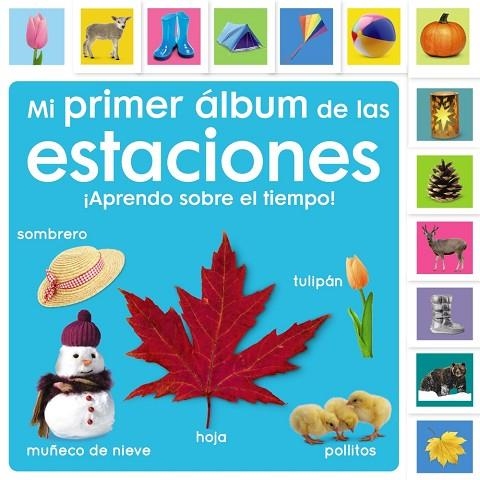 MI PRIMER ÁLBUM DE LAS ESTACIONES. ¡APRENDO SOBRE EL TIEMPO! | 9788469668948 | SIRETT, DAWN