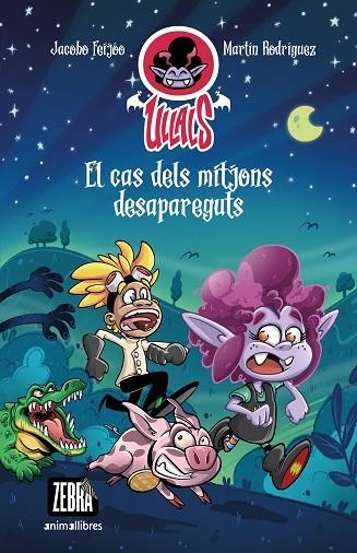 EL CAS DELS MITJONS DESAPAREGUTS | 9788419659101 | FEIJOO, JACOBO/RODRIGUEZ, MARTIN