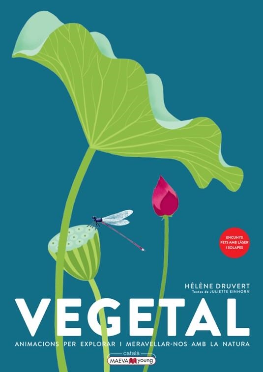 VEGETAL. ANIMACIONS PER EXPLORAR I MERAVELLAR-NOS AMB LA NATURA | 9788419110886 | DRUVERT, HÉLÈNE