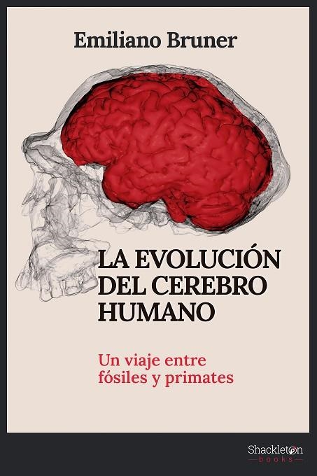 LA EVOLUCIÓN DEL CEREBRO HUMANO. UN VIAJE ENTRE FÓSILES Y PRIMATES | 9788413612249 | BRUNER, EMILIANO