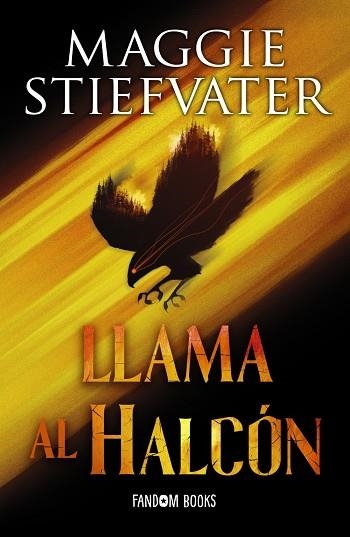 LLAMA AL HALCÓN. TRILOGÍA DE LOS SOÑADORES. LIBRO 1 | 9788419831057 | STIEFVATER, MAGGIE