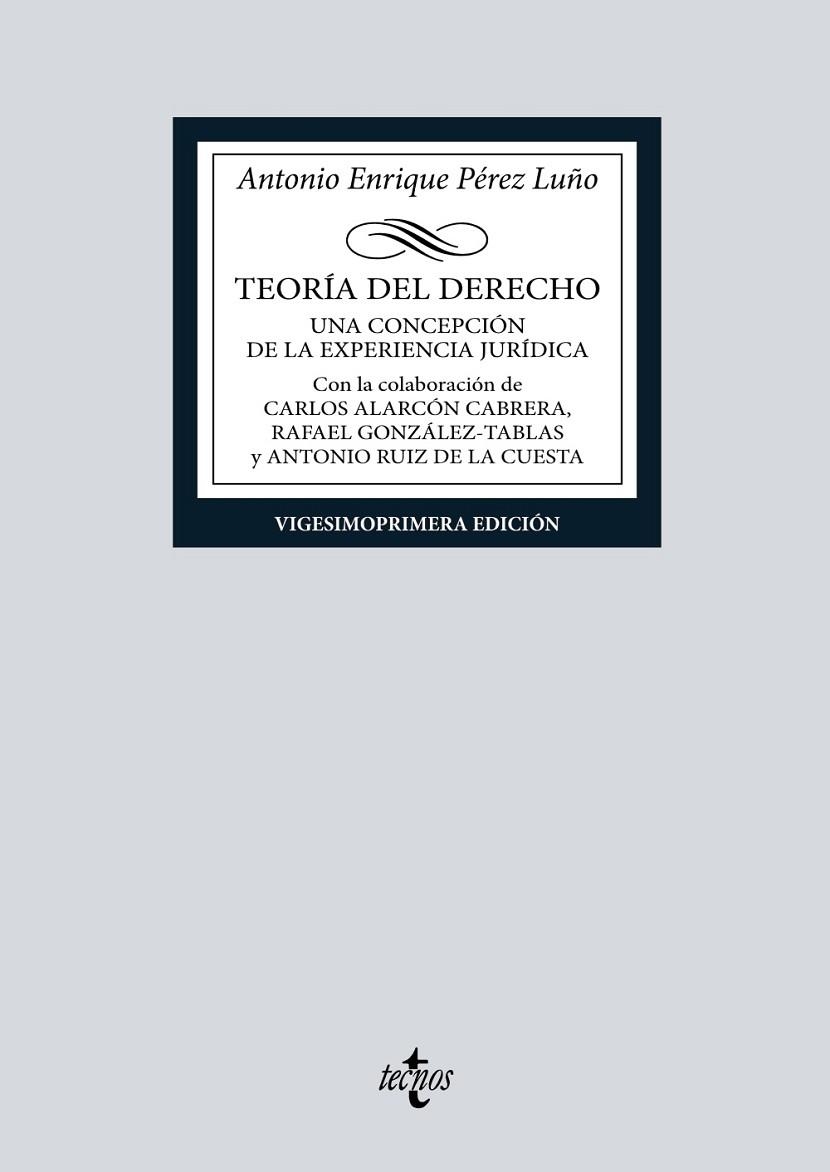 TEORÍA DEL DERECHO. UNA CONCEPCIÓN DE LA EXPERIENCIA JURÍDICA | 9788430987825 | PÉREZ LUÑO, ANTONIO ENRIQUE