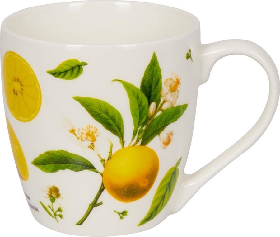 TAZA LIMONES PORCELANA | 4029753187901