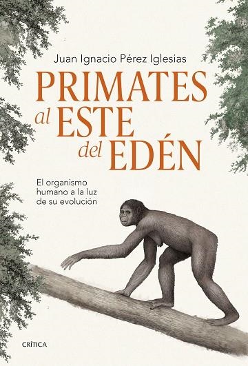 PRIMATES AL ESTE DEL EDÉN. EL ORGANISMO HUMANO A LA LUZ DE SU EVOLUCIÓN | 9788491995869 | PÉREZ IGLESIAS, JUAN IGNACIO