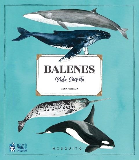 BALENES. VIDA SECRETA | 9788412247954 | ORTEGA, RENA