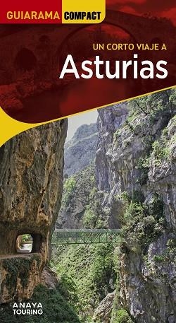 ASTURIAS | 9788491587309 | MARTÍNEZ REVERTE, JAVIER / GÓMEZ, IÑAKI / ALONSO GONZÁLEZ, JUAN CARLOS / PLANS, JUAN JOSÉ