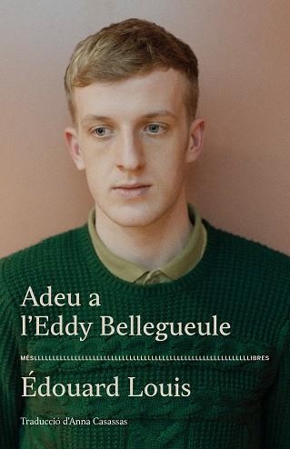 ADEU A L'EDDY BELLEGUEULE   | 9788417353544 | LOUIS, EDOUARD