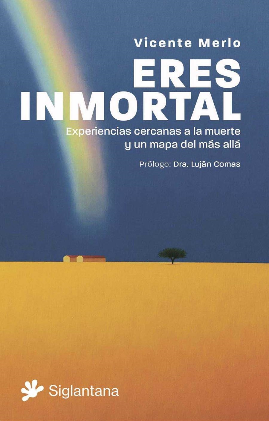 ERES INMORTAL. EXPERIENCIAS CERCANAS A LA MUERTE Y UN MAPA DEL MAS ALLA | 9788410179103 | MERLO, VICENTE