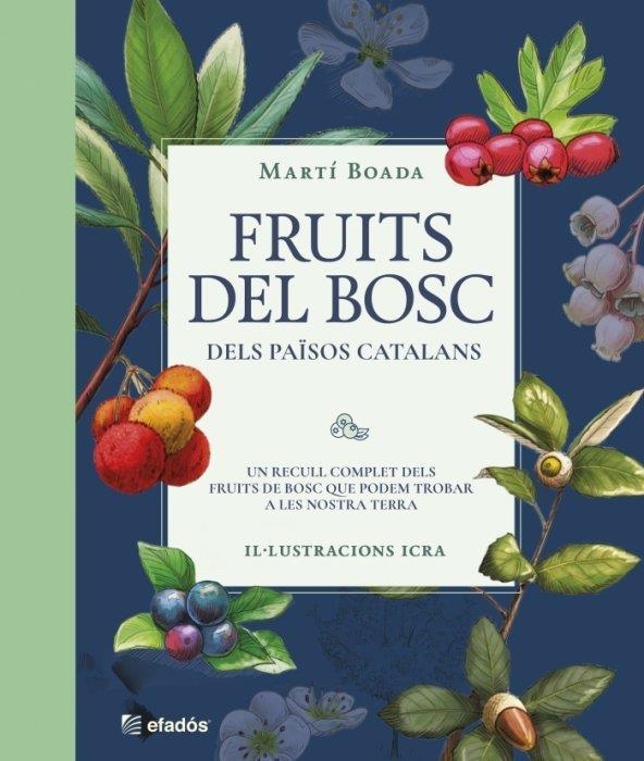 FRUITS DEL BOSC DELS PAÏSOS CATALANS. UN RECULL COMPLET DELS FRUITS DEL BOSC QUE PODEM TROBAR A LA NOSTRA TERRA | 9788419736468 | BOADA, MARTÍ