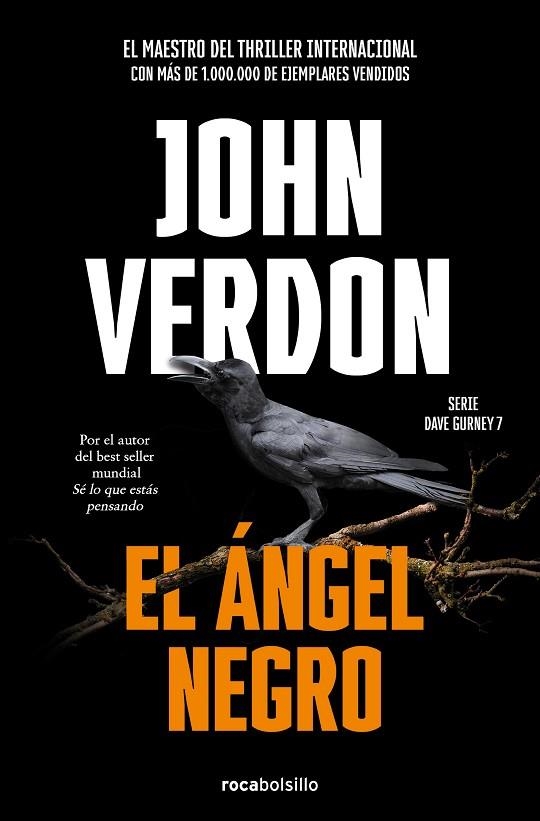 EL ÁNGEL NEGRO. SERIE DAVE GURNEY 7 | 9788418850127 | VERDON, JOHN