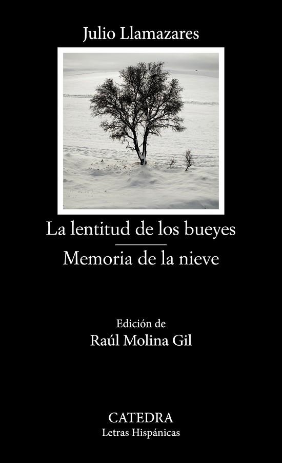 LA LENTITUD DE LOS BUEYES /  MEMORIA DE LA NIEVE | 9788437647791 | LLAMAZARES, JULIO