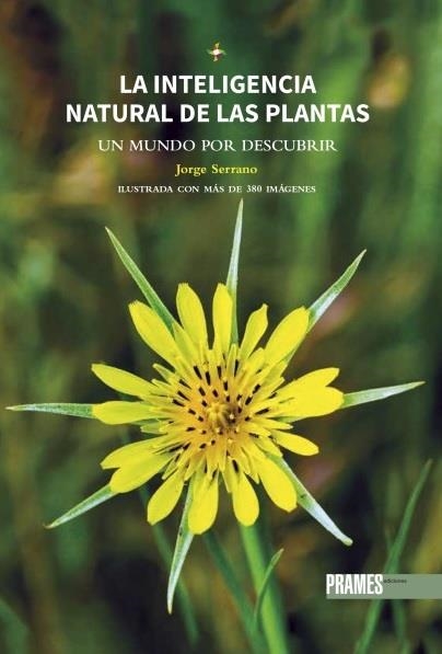 LA INTELIGENCIA NATURAL DE LAS PLANTAS. UN MUNDO POR DESCUBRIR | 9788483215944 | JORGE SERRANO